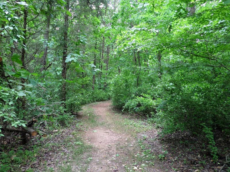 Gibson Park - Image 1