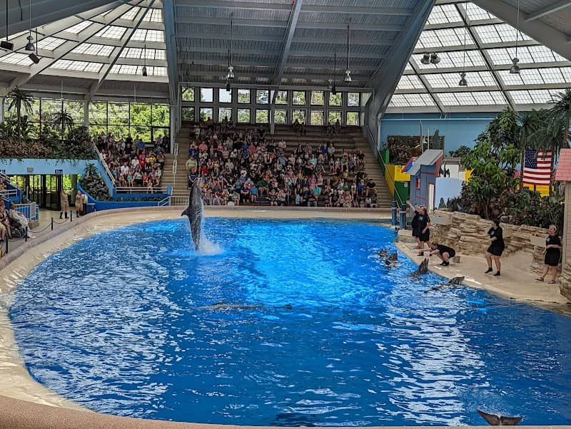 Brookfield Zoo - Image 2