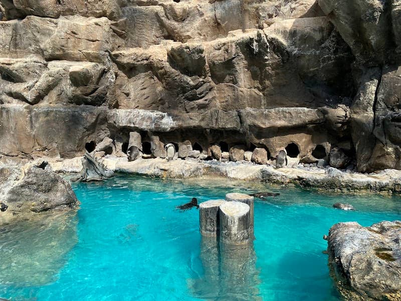 Brookfield Zoo - Image 3