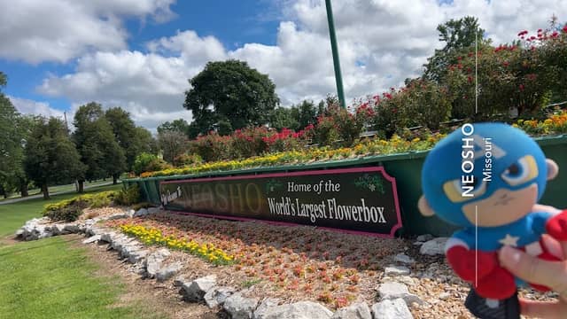 World's Largest Flowerbox - Image 2