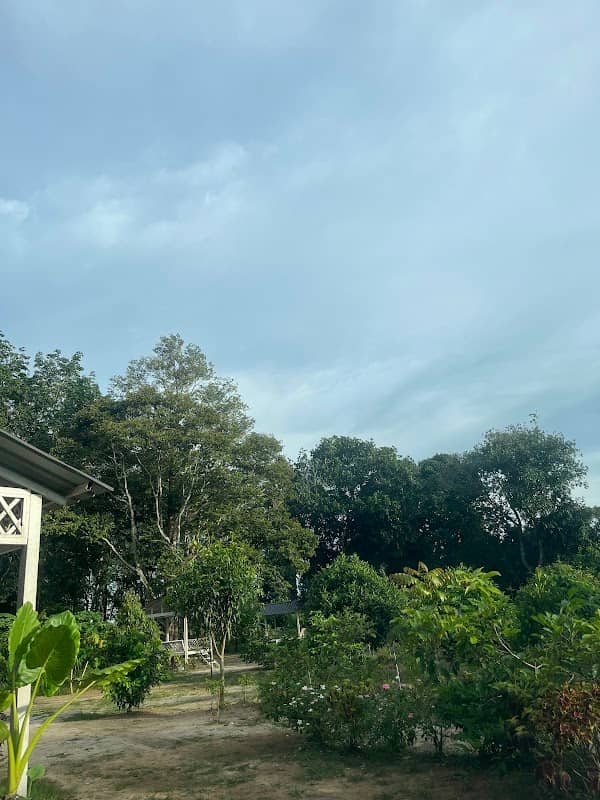 Kebun Cikgu Zaini - Image 1
