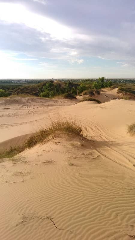 Beaver Dunes Park - Image 1