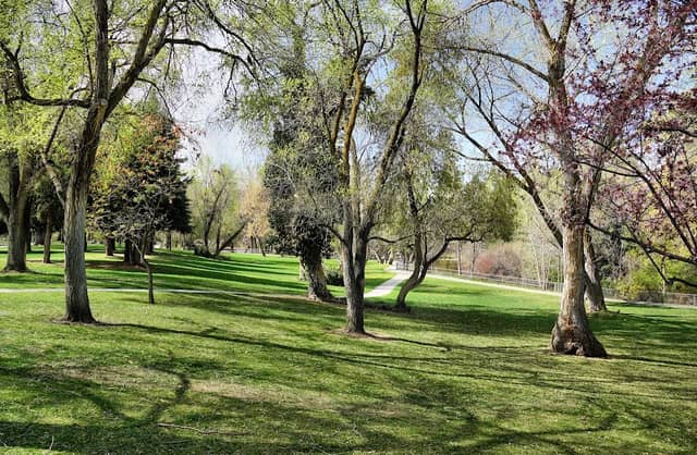 Layton Commons Park - Image 2