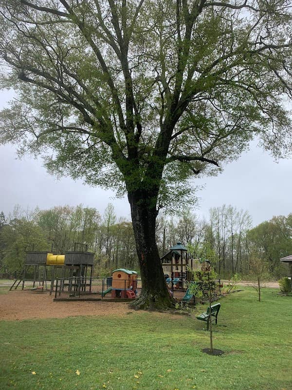 Mathiston Park - Image 2