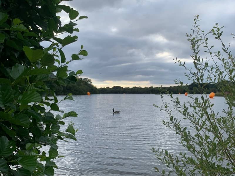 Horseshoe Lake - Image 1
