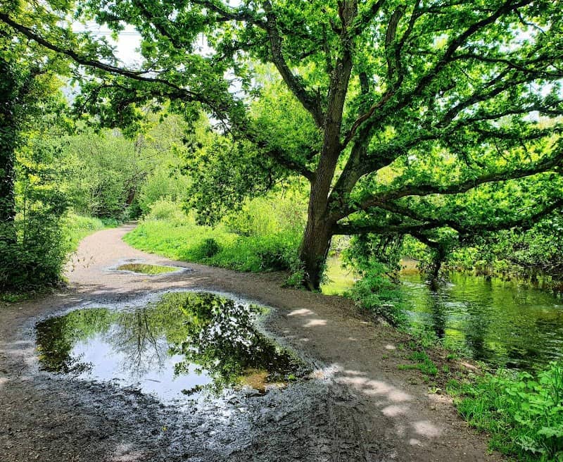 Horseshoe Lake - Image 2