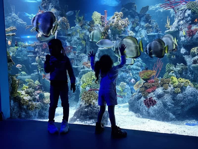 Bristol Aquarium - Image 2