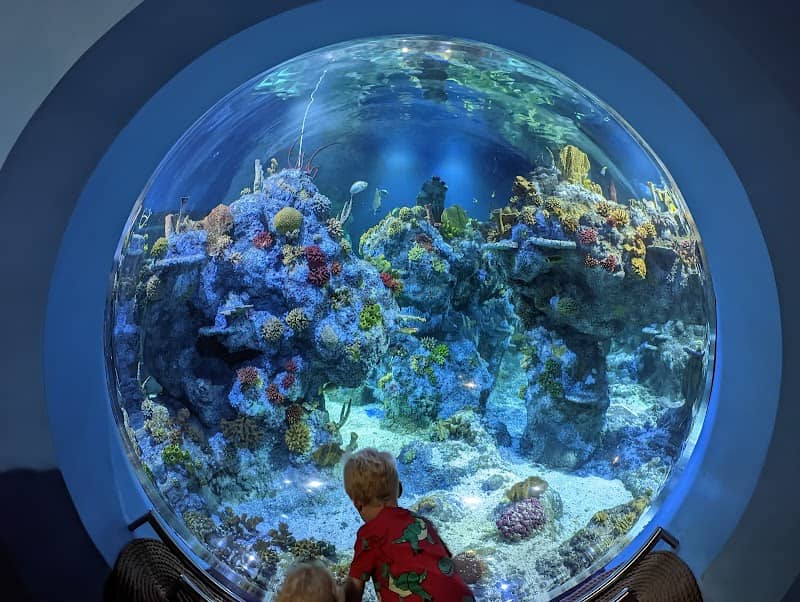 Bristol Aquarium - Image 3