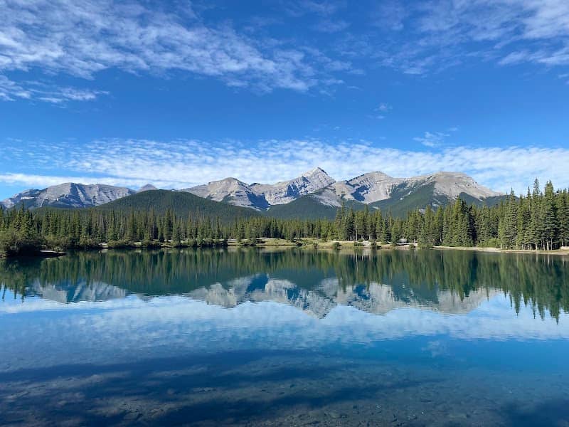 Forgetmenot Pond - Image 2
