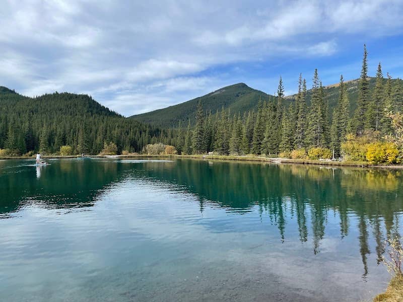 Forgetmenot Pond - Image 1