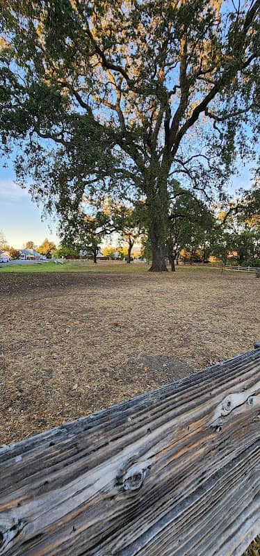 Michael A. Hall Park - Image 1