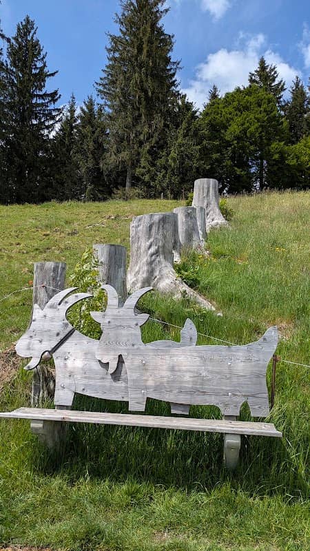 Sitzgelegenheit Gais naturgemacht - Image 1