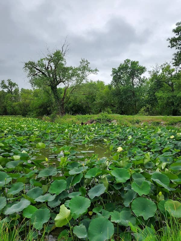 Scout Peninsula- Lake Manawa - Image 1