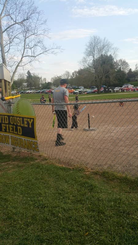 Wellston Ballfields - Image 1