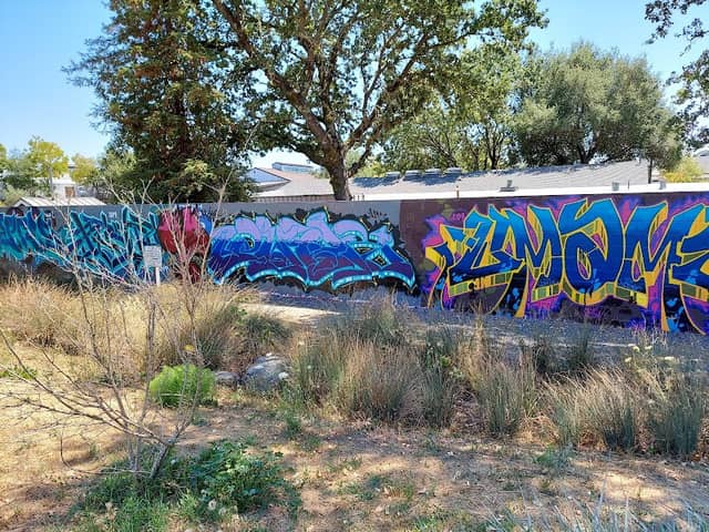 Skategarden Park - Image 2