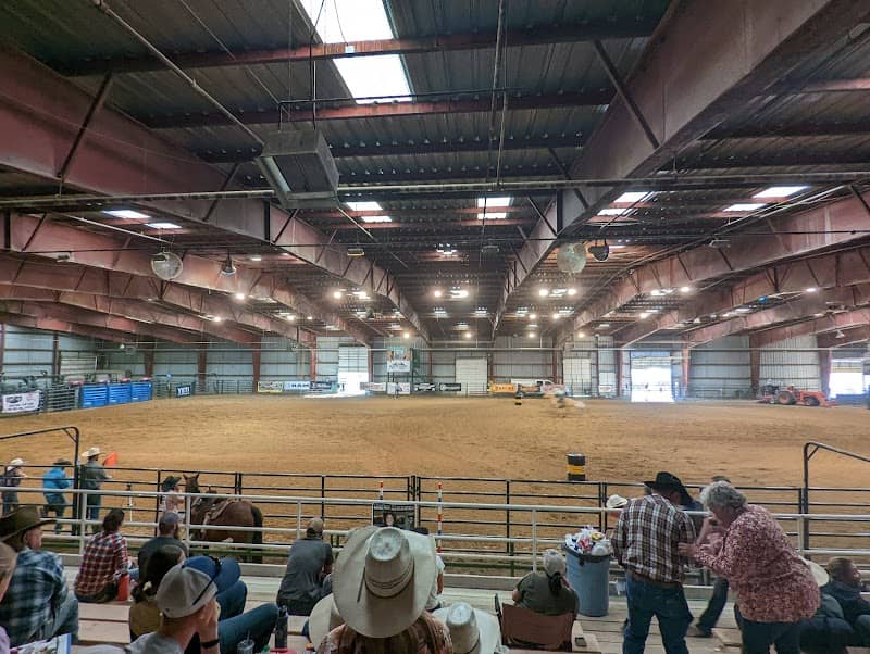 Horse Palace - Image 1