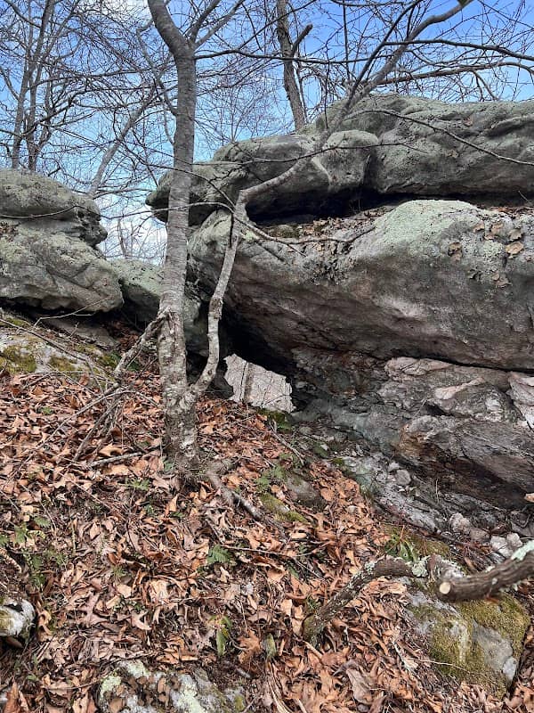 Warm Springs Mountain Preserve - Image 3