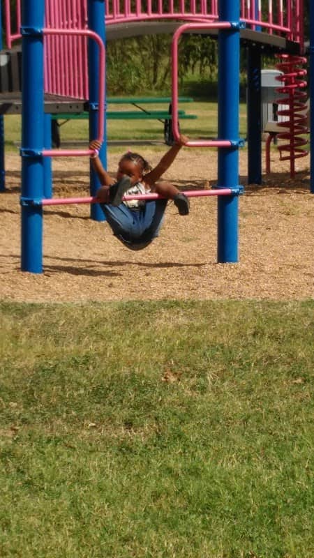 Scurry Park - Image 2