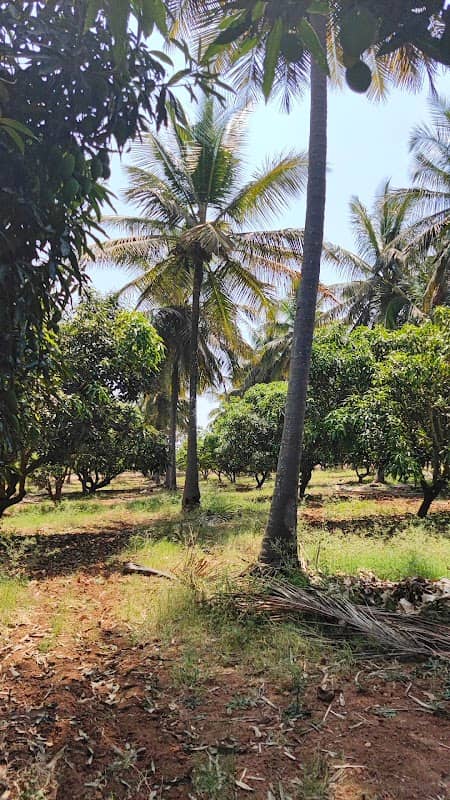 ಸ್ಪೂರ್ತಿ ಫಾರ್ಮ್ - Image 1