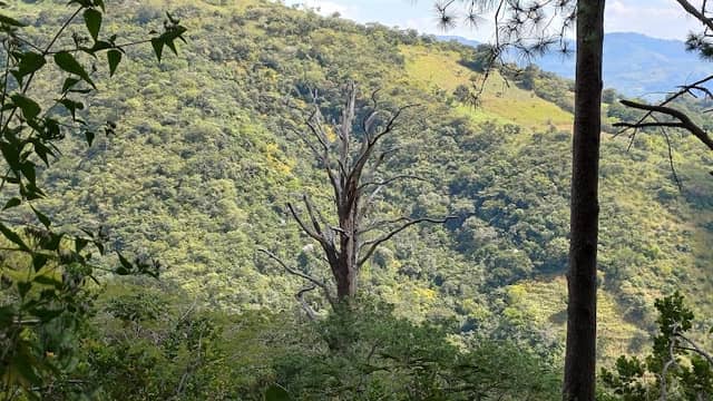 Zona de descanso, El Escondido - Image 1