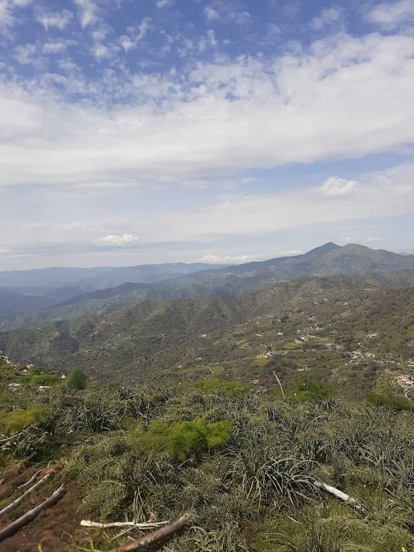 Monte Veneretta - Image 1