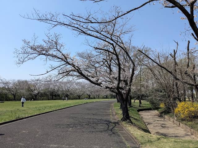 Sakuraso Park - Image 2