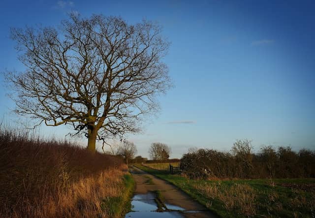 Abbotts Hall Farm - Image 2