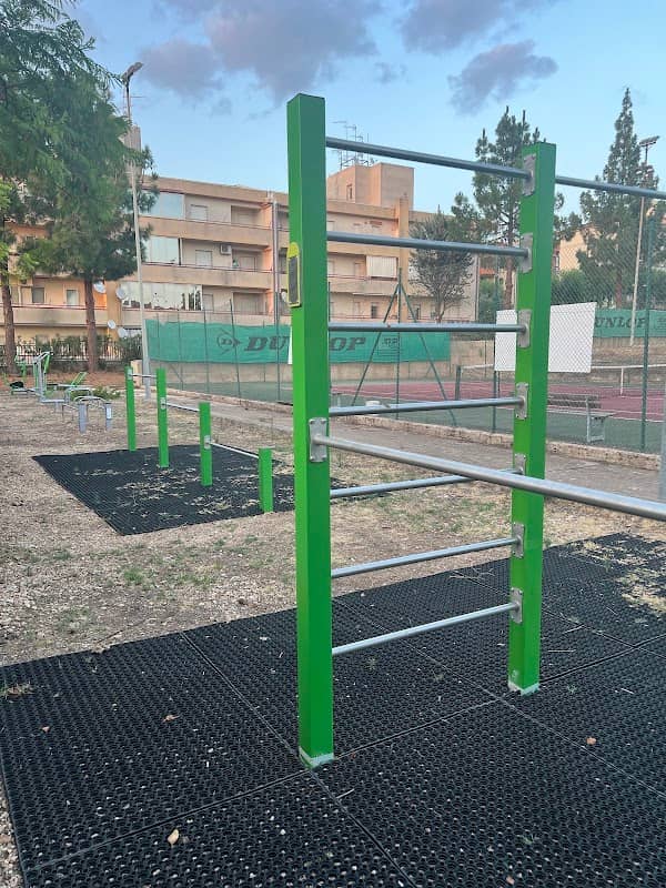Parchetto calisthenics - Image 1