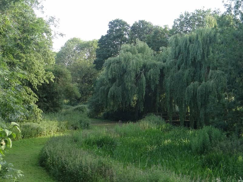 Delph Ditch Wildlife Area - Image 1
