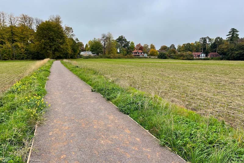 Speen Moor walk - Image 2