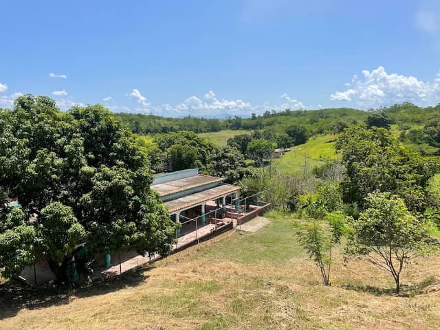 Finca Los Medranos - Image 1