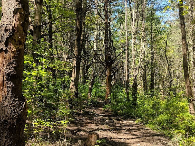 Vroman's Nose Hiking Trail - Image 2