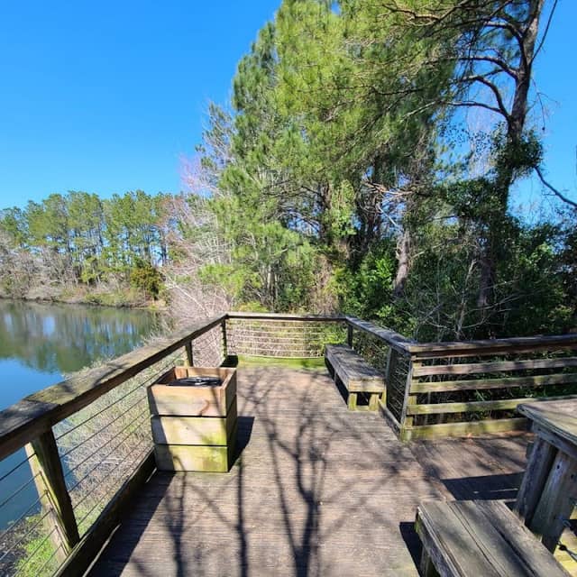 Anne McCrary Park - Image 2