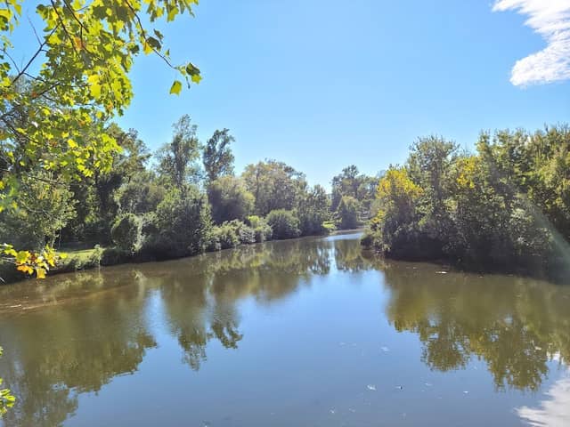 Anne McCrary Park - Image 1