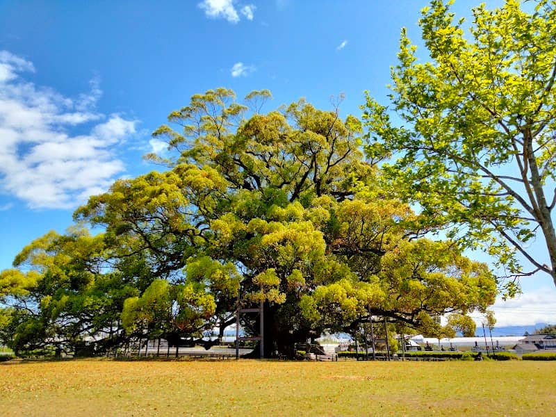 Jakushin Ryokuchi Park - Image 1