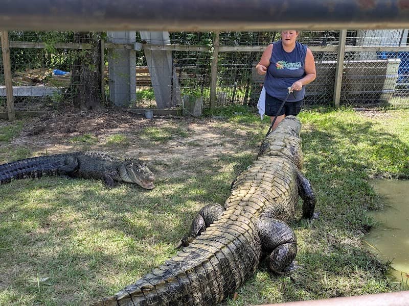Kliebert & Son’s Gator Tours - Image 1