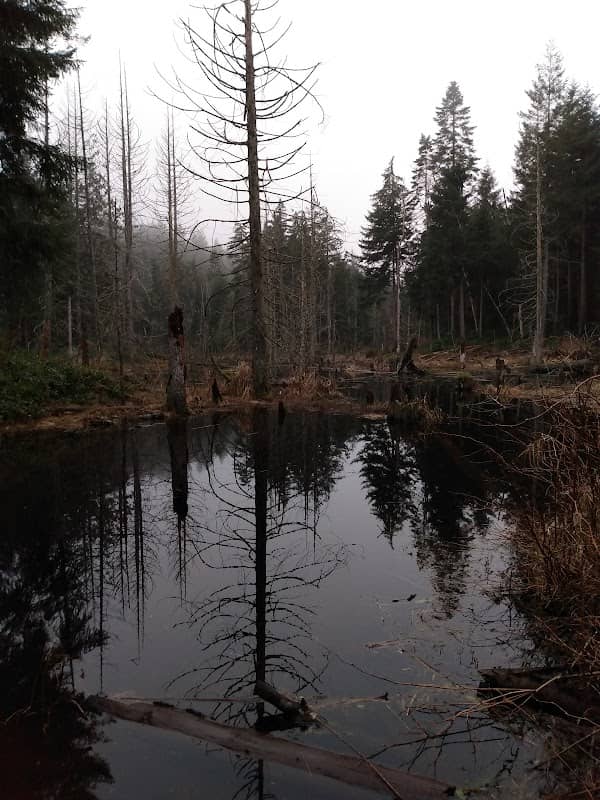 Linley Valley 1 - Image 2