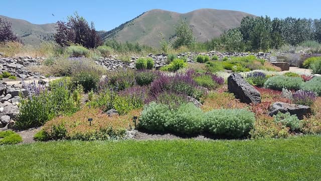 Sawtooth Botanical Garden - Image 1