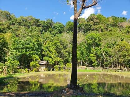 Pinaglikasan - Image 1