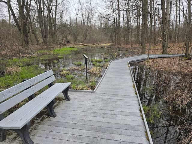 Frog Watch Site - Kent Bog Trail - Image 1