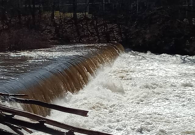 Walden Dam - Image 1