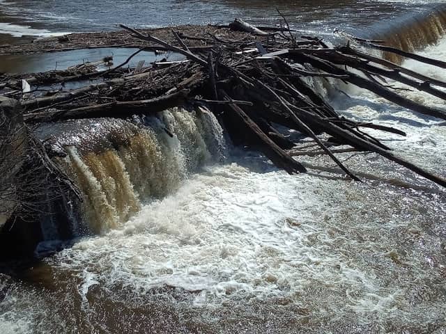 Walden Dam - Image 2