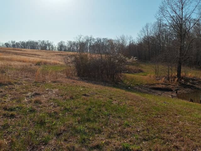 Maintz Wildlife Preserve - Image 2
