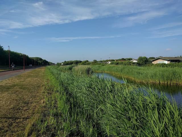 Natuurgebied Zandloper - Image 2