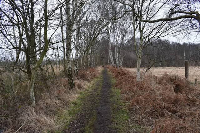 Crowle Moors - Image 1