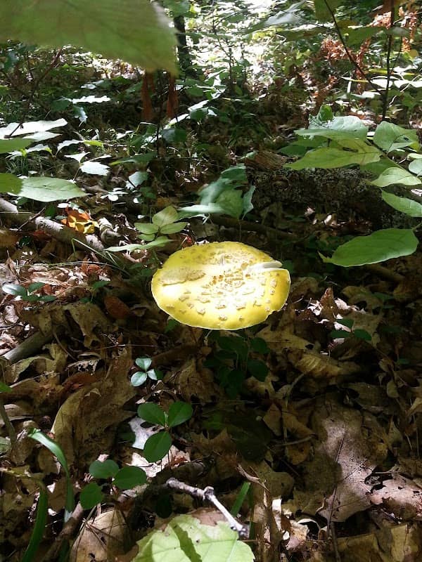 Kelly Park - Image 1