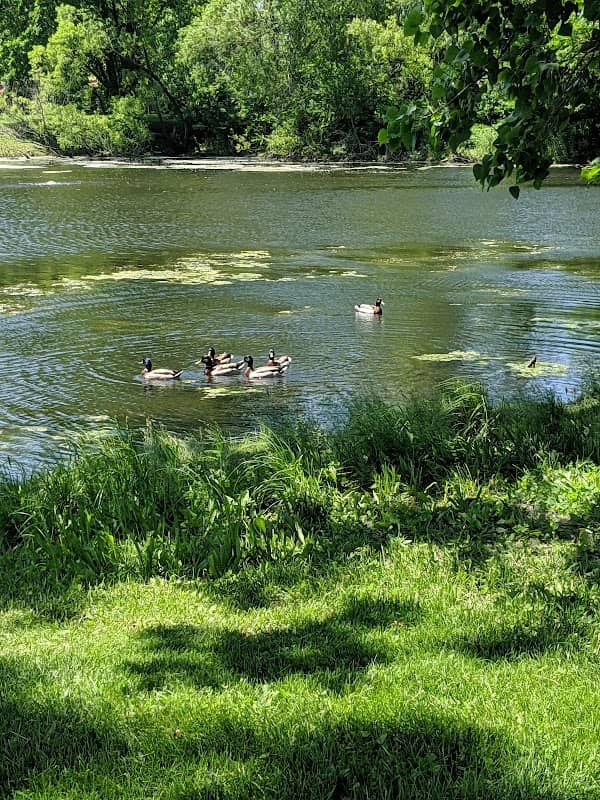 Peotone Park District - Image 2