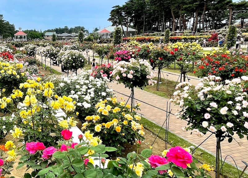 Bara Park - Image 2