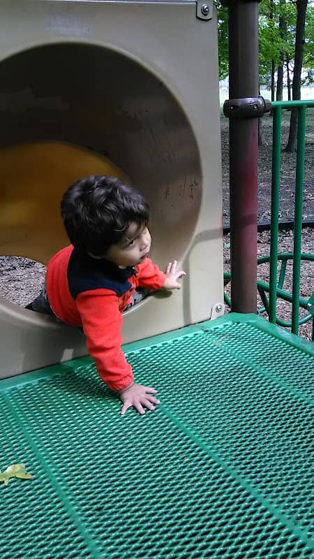 Ferrand Park - Image 2