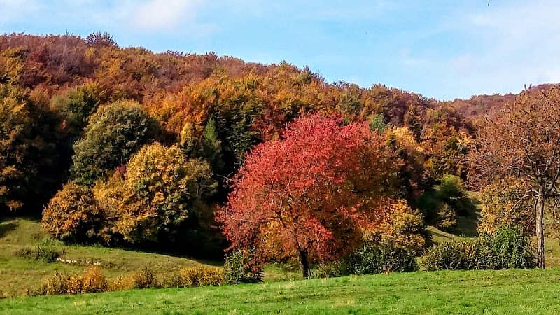 Sentiero del Castello - Image 2